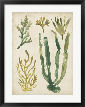 Framed Vintage Sea Fronds VI Print