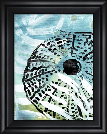 Framed Echinoidia I Print
