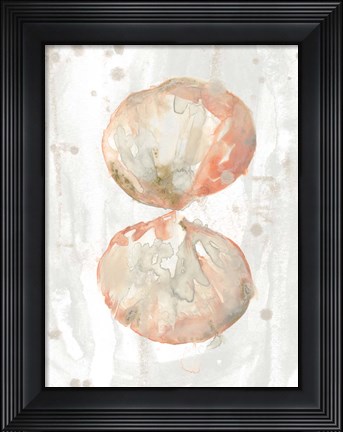 Framed Muted Molusk I Print
