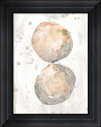 Framed Muted Molusk II Print