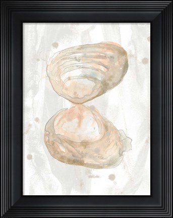 Framed Muted Molusk IV Print