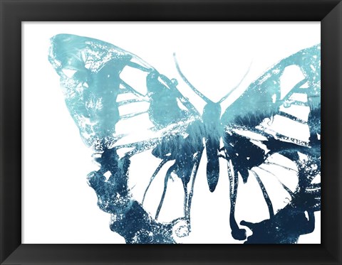 Framed Butterfly Imprint I Print