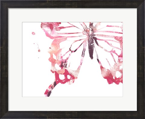 Framed Butterfly Imprint IV Print