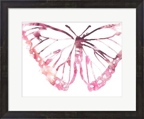Framed Butterfly Imprint VI Print