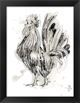 Framed Feathered Fowl II Print