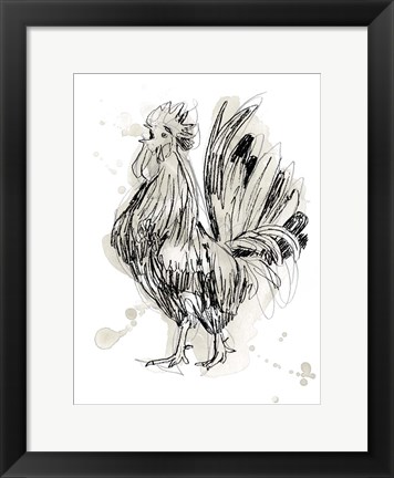 Framed Feathered Fowl II Print