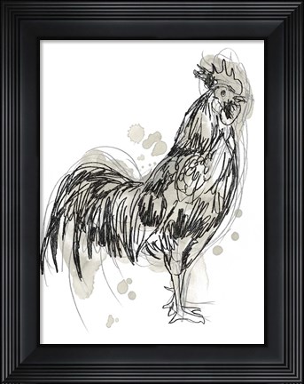Framed Feathered Fowl III Print