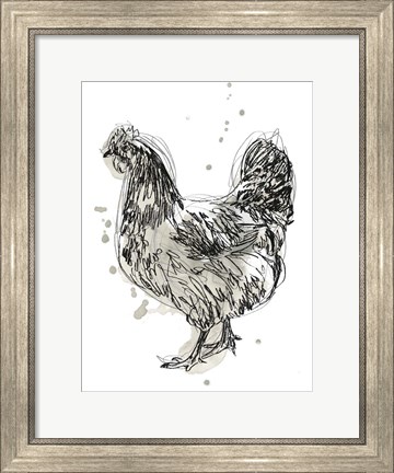 Framed Feathered Fowl IV Print