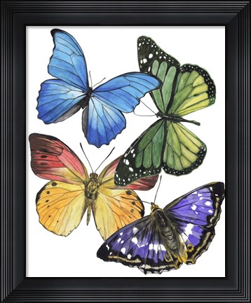 Framed Butterfly Swatches II Print