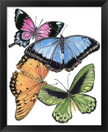 Framed Butterfly Swatches III Print