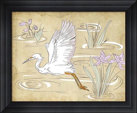 Framed Great Egret II Print