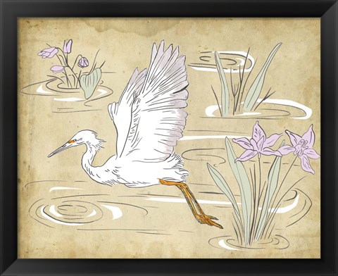 Framed Great Egret II Print