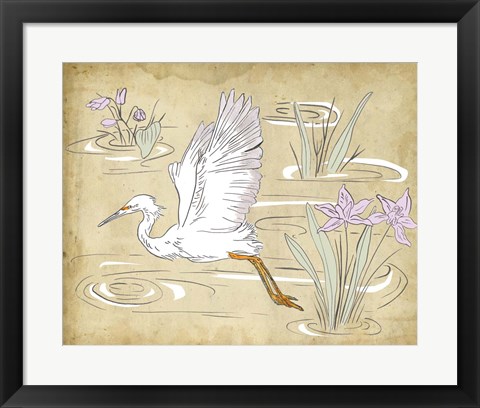 Framed Great Egret II Print