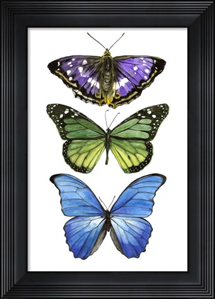 Framed Falling From I Print