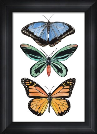 Framed Falling From II Print