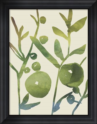 Framed Spring Sprig I Print