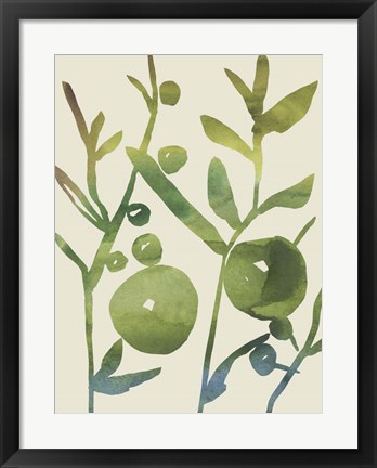 Framed Spring Sprig I Print