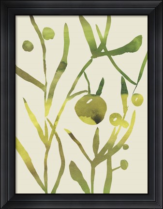 Framed Spring Sprig II Print