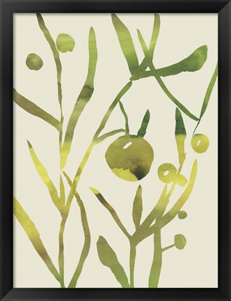 Framed Spring Sprig II Print