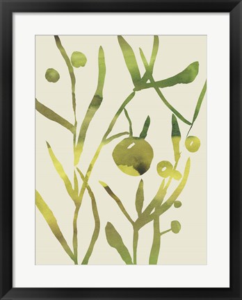 Framed Spring Sprig II Print