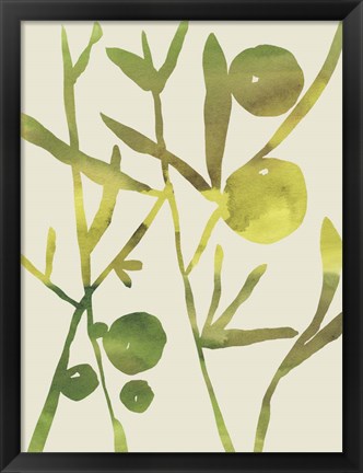 Framed Spring Sprig III Print