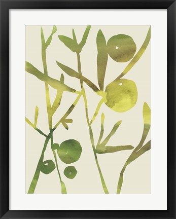 Framed Spring Sprig III Print