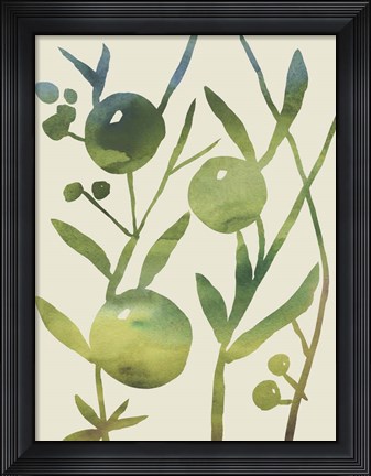 Framed Spring Sprig IV Print