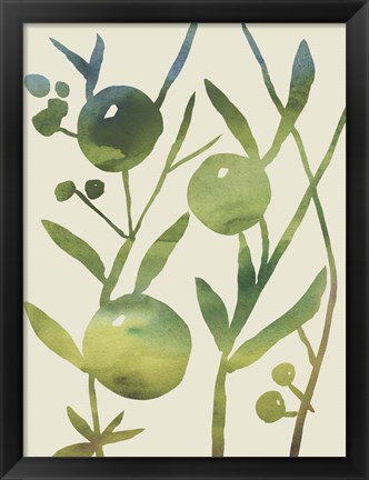 Framed Spring Sprig IV Print