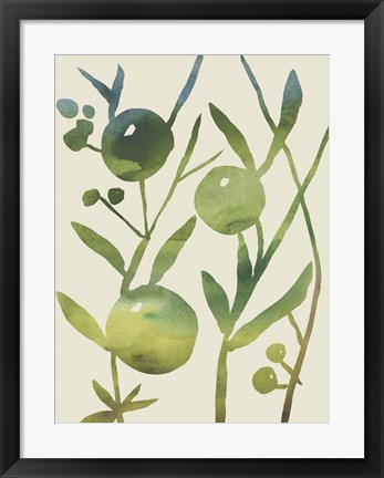Framed Spring Sprig IV Print