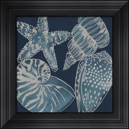 Framed Marine Shells I Print