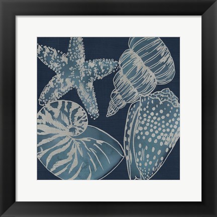 Framed Marine Shells I Print