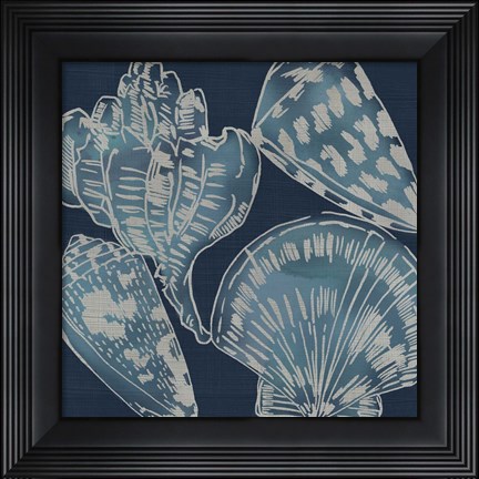 Framed Marine Shells II Print