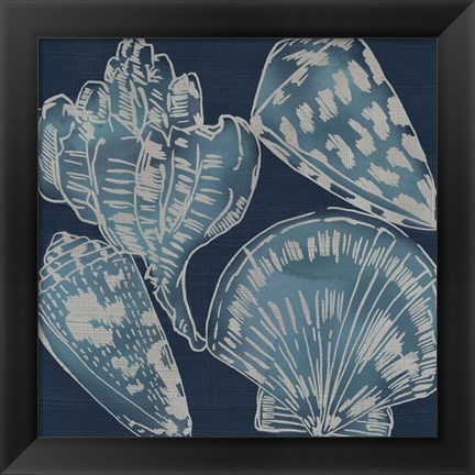 Framed Marine Shells II Print