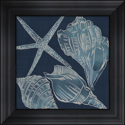 Framed Marine Shells III Print