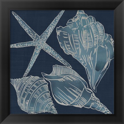 Framed Marine Shells III Print