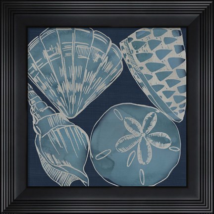 Framed Marine Shells IV Print