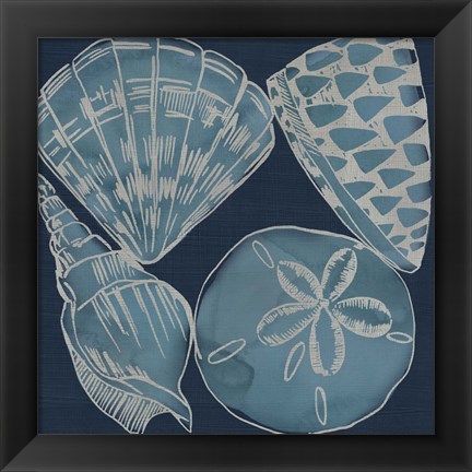 Framed Marine Shells IV Print