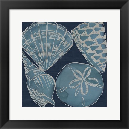 Framed Marine Shells IV Print