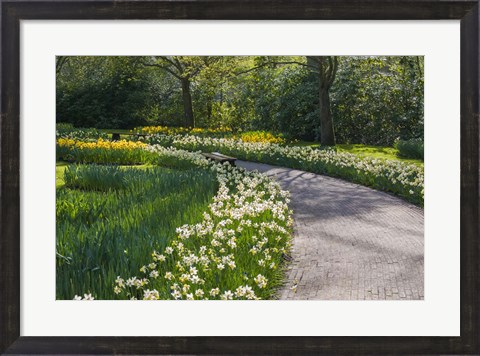 Framed Sunlit Path In Daffodil Garden Print