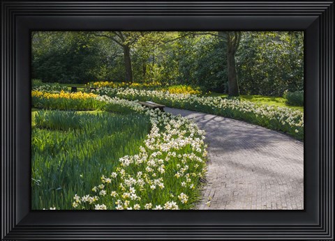 Framed Sunlit Path In Daffodil Garden Print