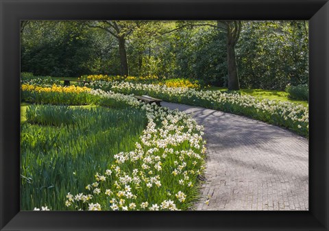 Framed Sunlit Path In Daffodil Garden Print