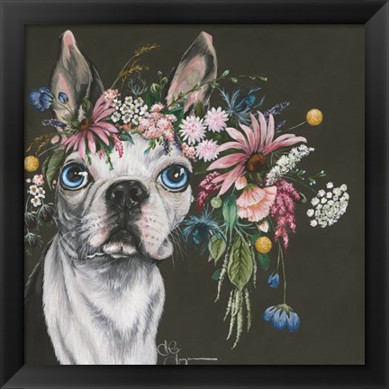 Framed Boston Terrier Print