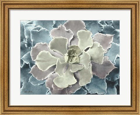 Framed Multi-color Succulent Print
