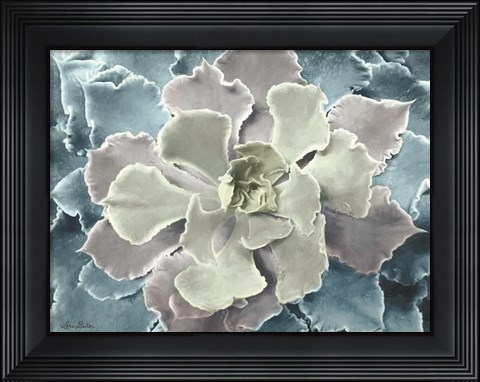 Framed Multi-color Succulent Print