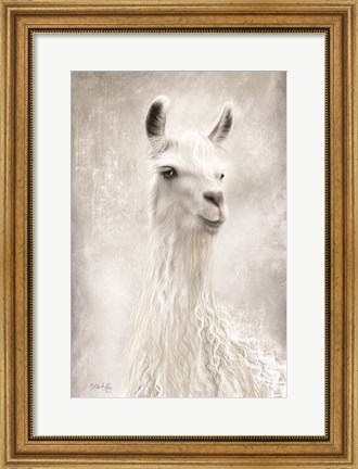 Framed Lulu the Llama Up Close Print