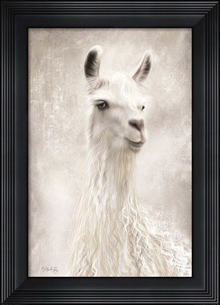 Framed Lulu the Llama Up Close Print