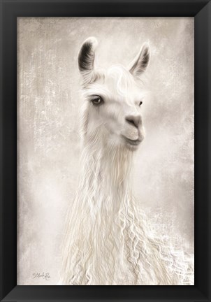 Framed Lulu the Llama Up Close Print