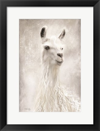 Framed Lulu the Llama Up Close Print