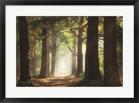 Framed Fresh Green Forest Print