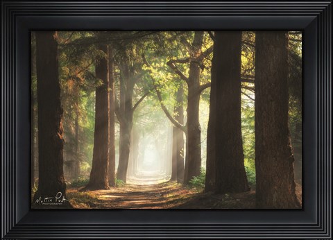Framed Fresh Green Forest Print